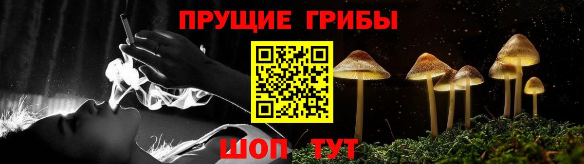 Псилоцибиновые грибы Cubensis Новосибирск